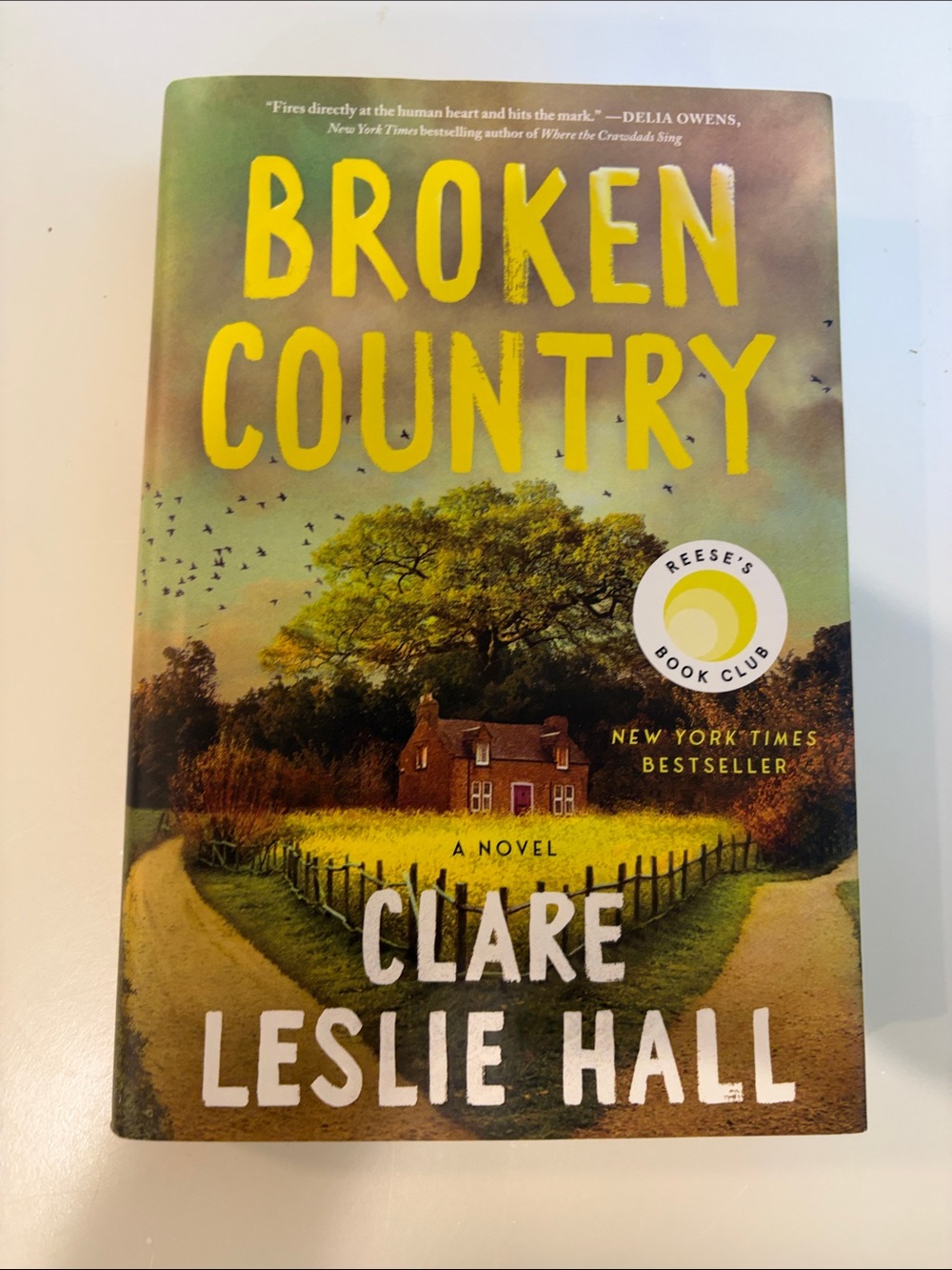 Broken Country Hardcover Novel in Yellow and Green